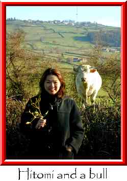 Hitomi and a bull Thumbnail