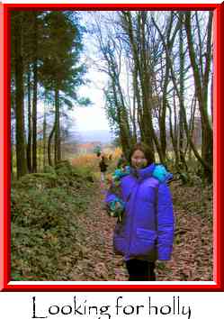 Looking for holly Thumbnail