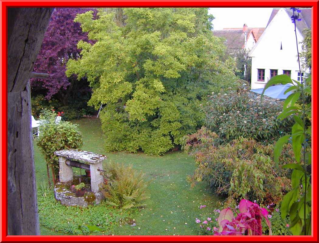 B&B Backyard