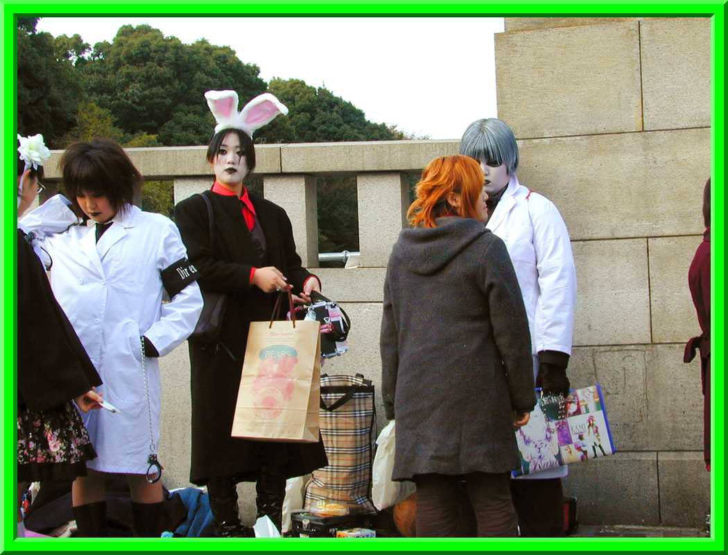 Rabbit Ears