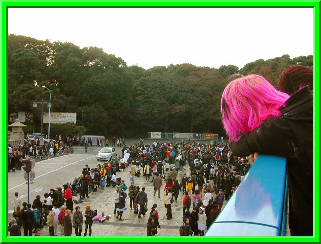 Checking out the Crowd
