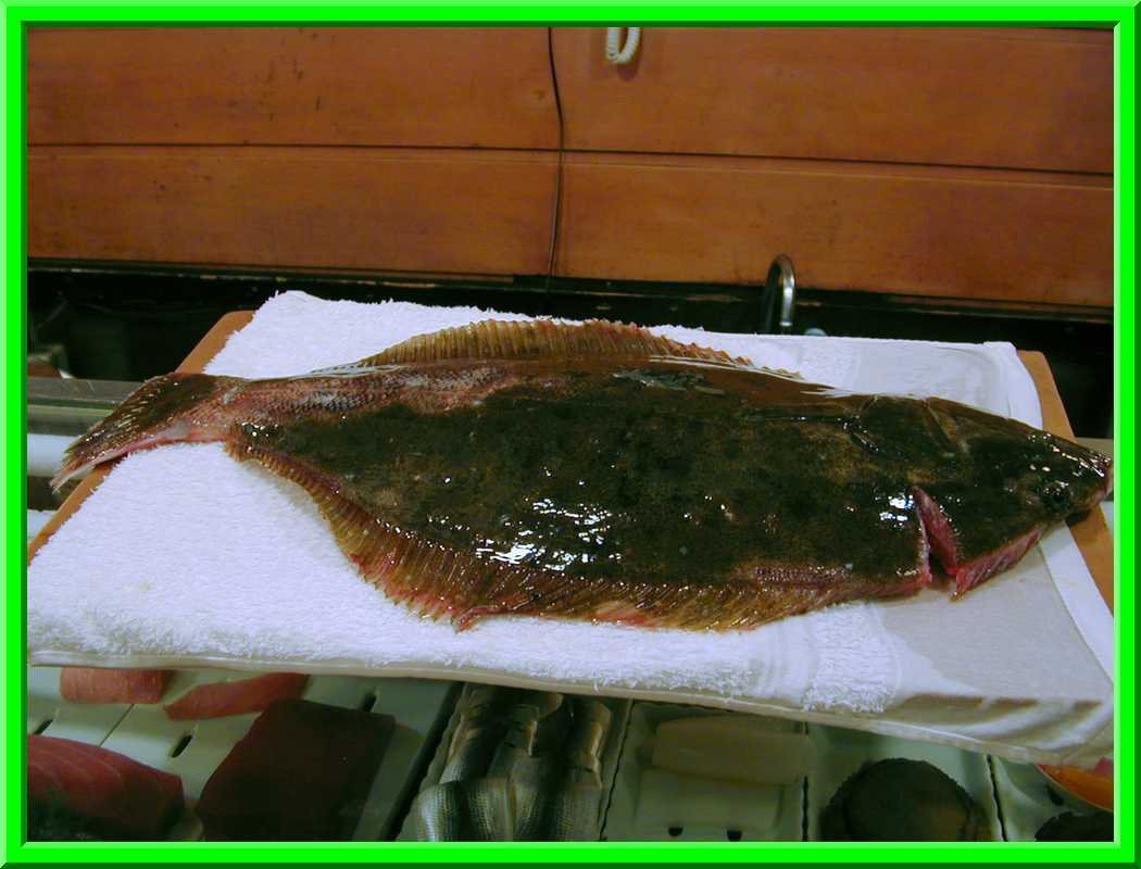 Fresh Fish