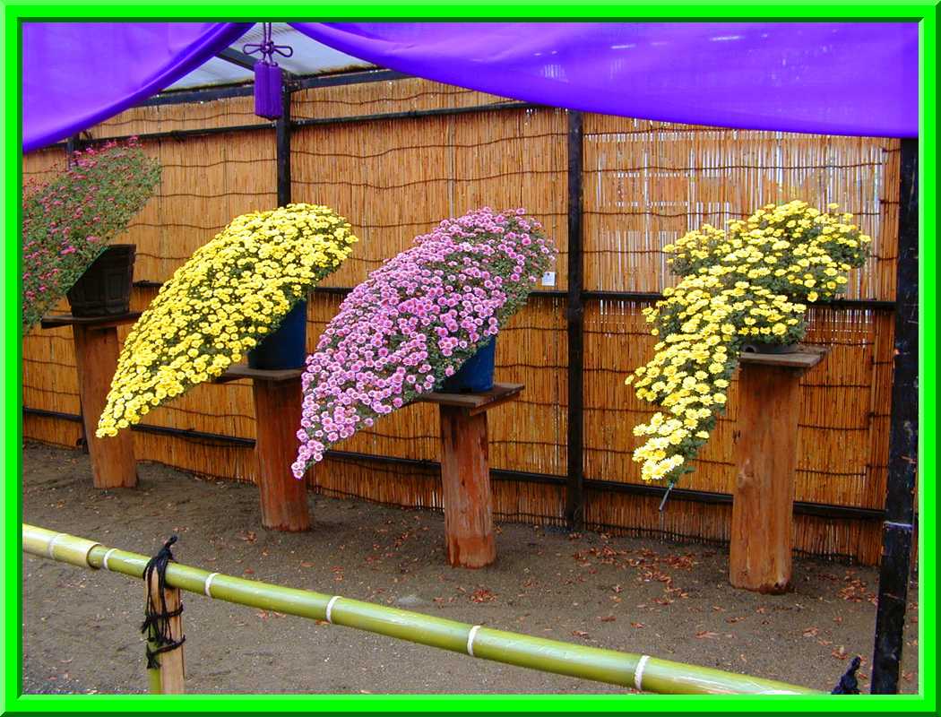 Flower Art