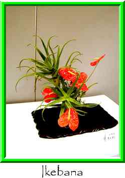 Ikebana Thumbnail