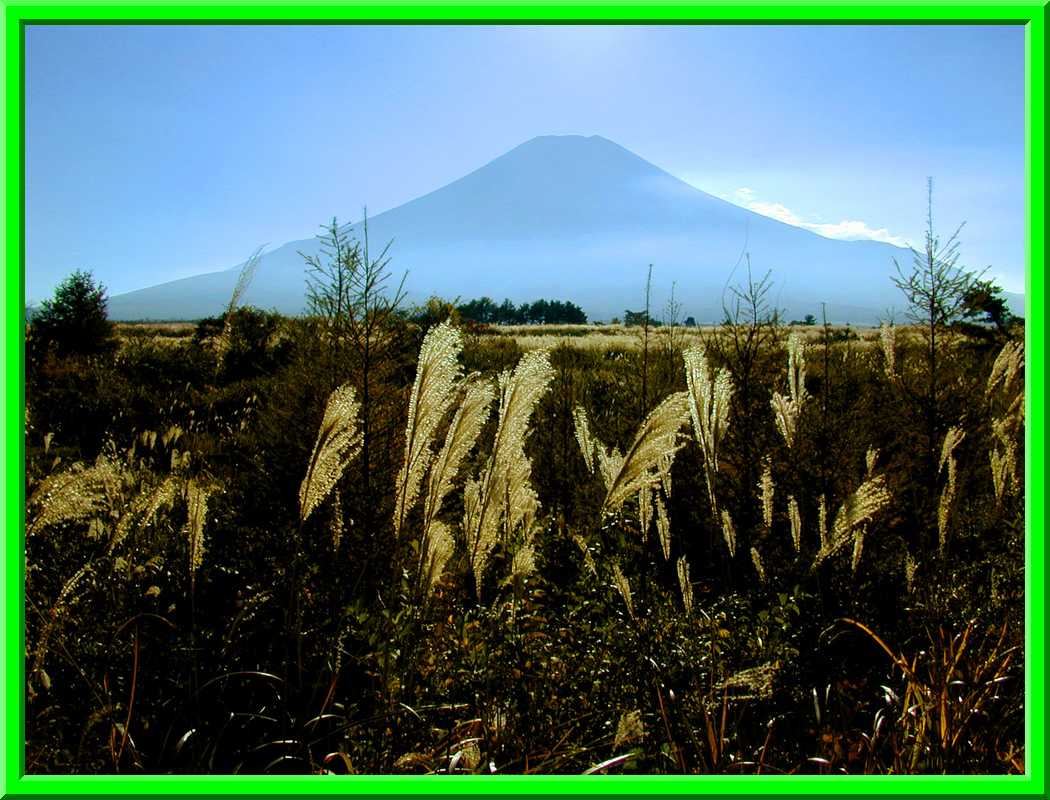 Mount Fuji