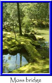 Moss bridge Thumbnail