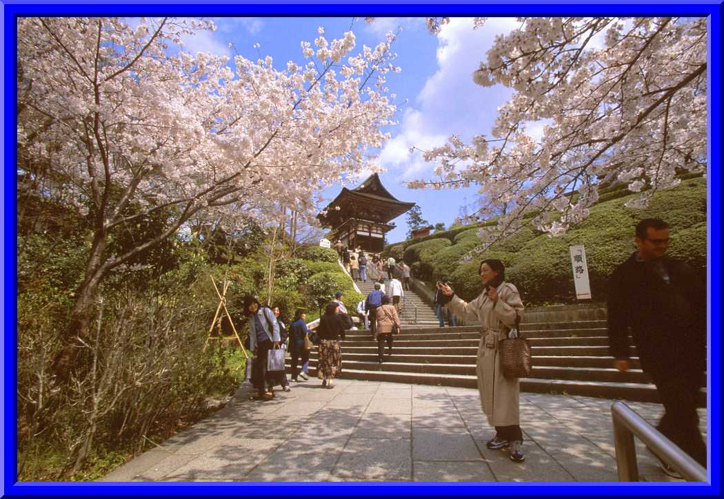 Kiyomizu-dera