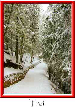 Trail Thumbnail