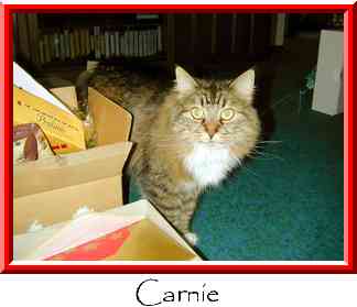 Carnie Thumbnail