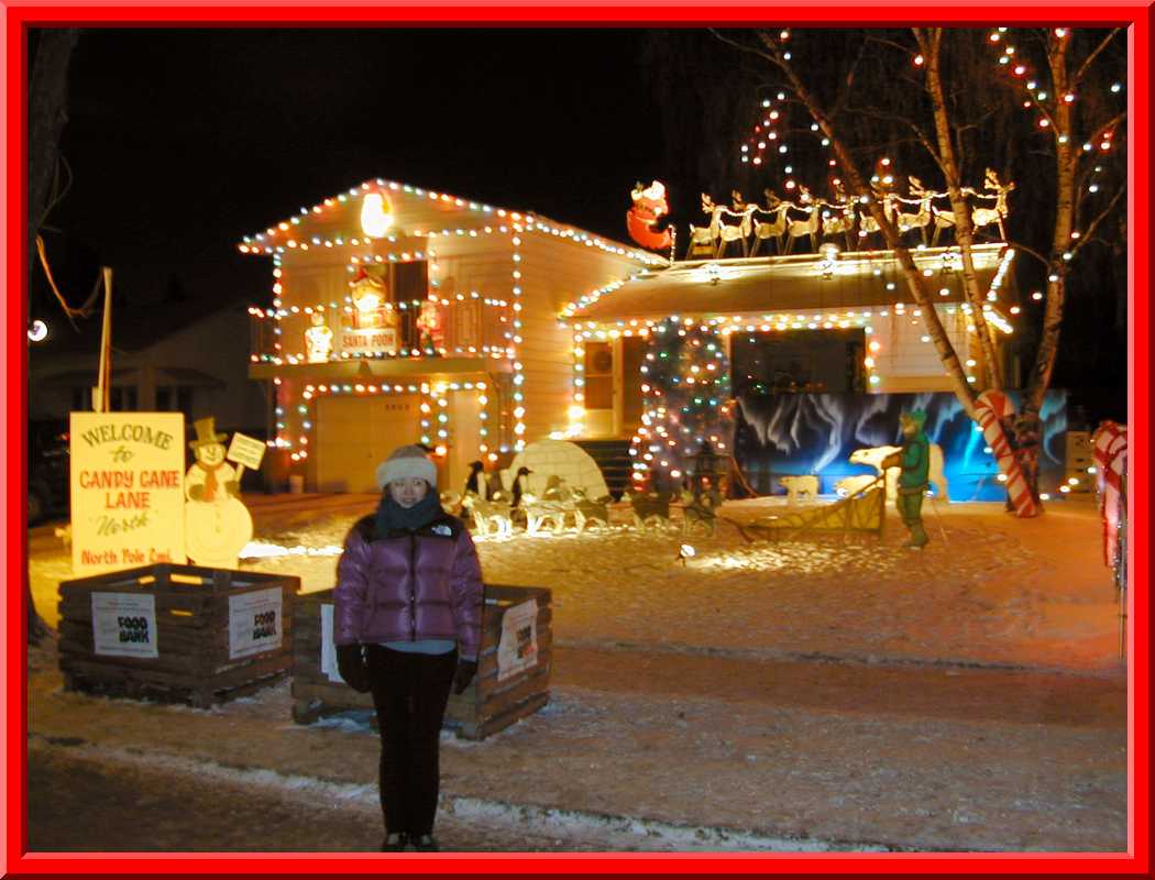 Candy Cane Lane