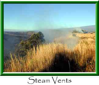 Steam Vents Thumbnail
