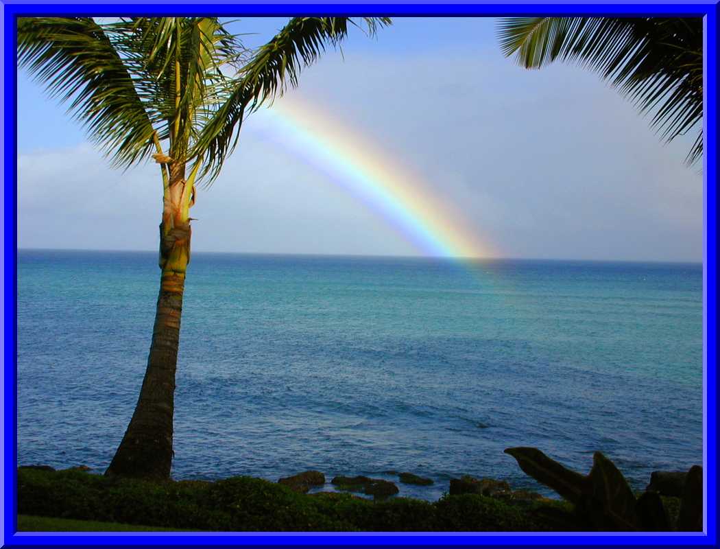 Rainbow